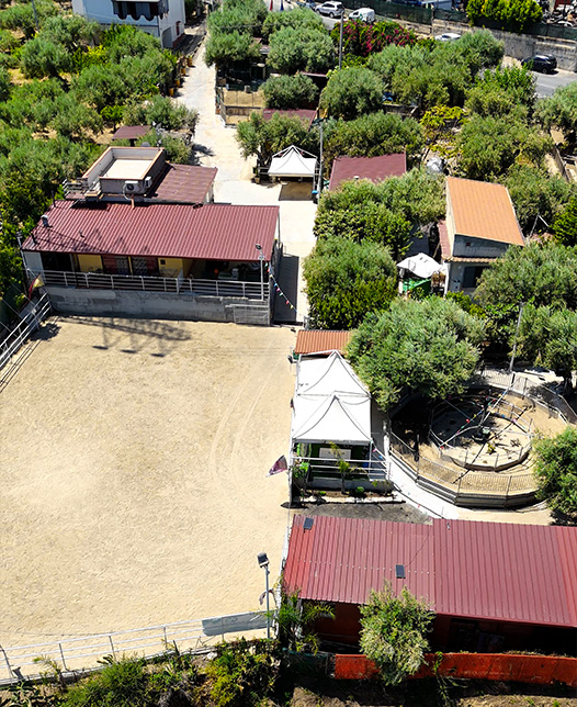 Corsi di equitazione e interventi assistiti