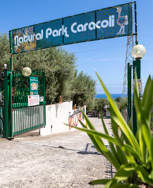 Experience con gli animali al Natural Park Caracoli