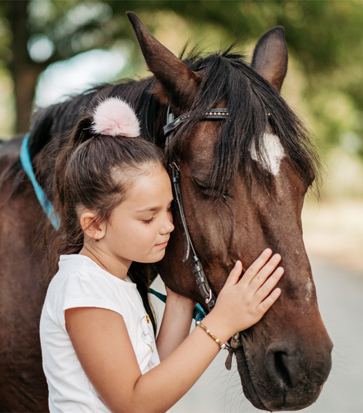 Interventi assistiti con animali a Termini Imerese, Caracoli: interventi con cavallo, asino e cane